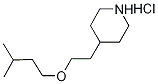 4-[2-(Isopentyloxy)ethyl]piperidine hydrochloride Struktur