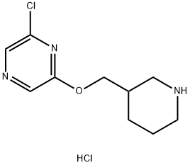 2-Chloro-6-(3-piperidinylmethoxy)pyrazinehydrochloride Struktur