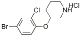 3-(4-Bromo-2-chlorophenoxy)piperidinehydrochloride Struktur