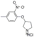 3-(4-Methyl-2-nitrophenoxy)pyrrolidinehydrochloride Struktur