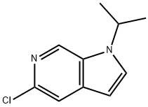 5-chloro-1-isopropyl-1H-pyrrolo[2,3-c]pyridine|5-CHLORO-1-ISOPROPYL-1H-PYRROLO[2,3-C]PYRIDINE