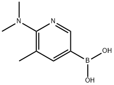 6-(diMethylaMino)-5-Methylpyridin-3-ylboronic acid Struktur