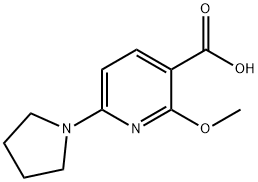 2-Methoxy-6-(pyrrolidin-1-yl)nicotinic acid Struktur