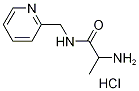 2-Amino-N-(2-pyridinylmethyl)propanamidehydrochloride Struktur