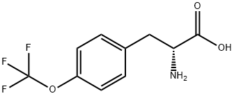 (2R)-2-AMINO-3-[4-(TRIFLUOROMETHOXY)PHENYL]PROPANOIC ACID Struktur