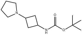 tert-butyl 3-(pyrrolidin-1-yl)cyclobutylcarbaMate Struktur