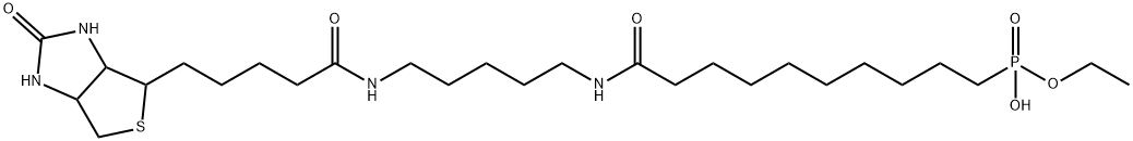 10-Ethoxyphosphinyl-N-biotinamidopentyldecanamide Struktur