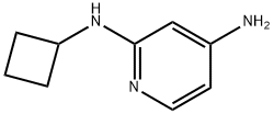 N2-cyclobutylpyridine-2,4-diamine Struktur