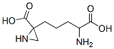 2-(4-amino-4-carboxybutyl)-2-aziridinecarboxylic acid Struktur