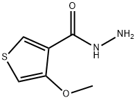 4-METHOXYTHIOPHENE-3-CARBOHYDRAZIDE Struktur