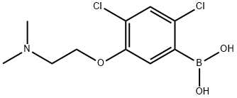 2,4-Dichloro-5-(2-(dimethylamino)ethoxy)phenylboronic acid Struktur