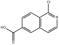 1-Chloroisoquinoline-6-carboxylic acid Struktur