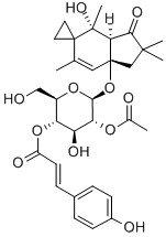 HYPOLOSIDEC Struktur