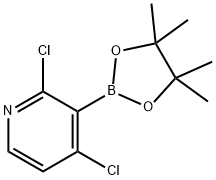 2,4-Dichloropyridine-3-boronic acid pinacol ester Struktur