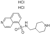 Isoquinoline-5-sulfonic acid (piperidin-4-ylmethyl)-amide  dihydrochloride Struktur