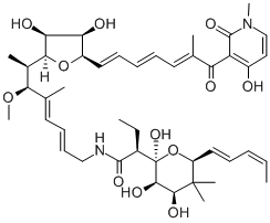 Aurodox Struktur