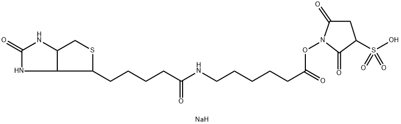 SULPHOSUCCINIMIDYL-6-(BIOTINAMIDO)HEXANOATE