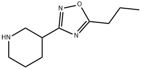 3-(5-Propyl-[1,2,4]oxadiazol-3-yl)-piperidine Struktur