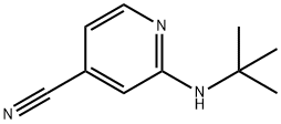 2-(tert-butylamino)isonicotinonitrile Struktur