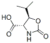 4-Oxazolidinecarboxylicacid,5-(1-methylethyl)-2-oxo-,(4S-trans)-(9CI) Struktur