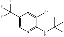 3-Bromo-2-(N-t-butylamino)-5-trifluoromethylpyridine Struktur