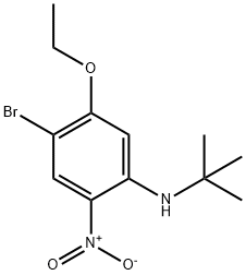 4-Bromo-N-tert-butyl-5-ethoxy-2-nitroaniline Struktur