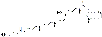 AG 489 Struktur