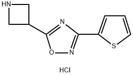 5-Azetidin-3-yl-3-(2-thienyl)-1,2,4-oxadiazole hydrochloride Struktur