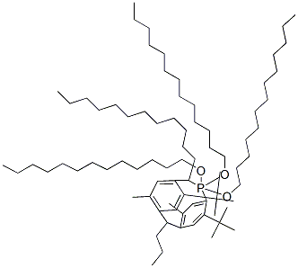 butylidenebis[2-tert-butyl-5-methyl-p-phenylene]-P,P,P',P'-tetratridecylbis(phosphine)  Struktur