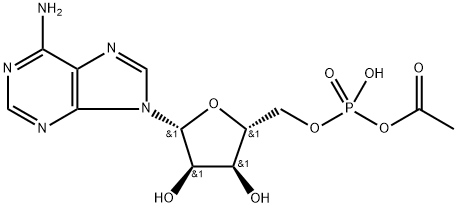 acetyl adenylate Struktur