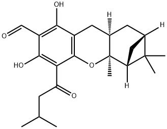 euglobal G1 Struktur