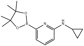 6-(CYCLOPROPYLAMINO)PYRIDINE-2-BORONIC ACID PINACOL ESTER Struktur