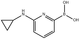 6-(CYCLOPROPYLAMINO)PYRIDINE-2-BORONIC ACID Struktur