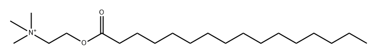 palmitoylcholine Struktur