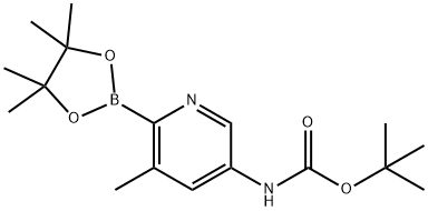 Boc-5-AMino-3-Methylpyridine-2-boronic acid pinacol ester Struktur