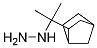 (2-(bicyclo[2.2.1]heptan-2-yl)propan-2-yl)hydrazine Struktur