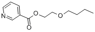 BUTOXYETHYL NICOTINATE Struktur