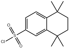 5,5,8,8-TETRAMETHYL-5,6,7,8-TETRAHYDRO-2-NAPHTHALENESULFONYL CHLORIDE Struktur