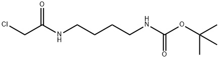 tert-Butyl N-[4-(2-chloroacetamido)butyl]carbamate Struktur