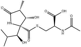 (2R)-2-(アセチルアミノ)-3-[[[(2R,3S,4R)-2-[(1S)-2-メチル-1-ヒドロキシプロピル]-3-ヒドロキシ-4-メチル-5-オキソピロリジン-2-イル]カルボニル]チオ]プロピオン酸 price.