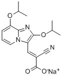 SJC 13 Struktur