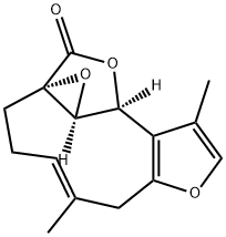 LINDERANE Struktur