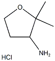 (2,2-Dimethyltetrahydrofuran-3-yl)amine hydrochloride Struktur