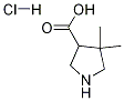 4,4-DiMethylpyrrolidine-3-carboxylic acid hydrochloride Struktur