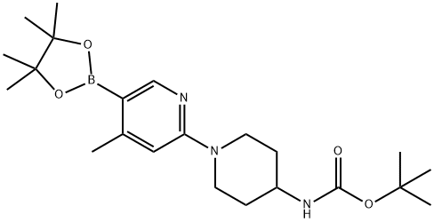 N-(1-(4-Methyl-5-(4,4,5,5-tetraMethyl-1,3,2-dioxaborolan-2-yl)pyridin-2-yl)piperidin-4-yl)pivalaMide Struktur