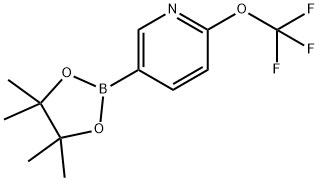 6-TrifluoroMethoxypyridine-3-boronic acid pinacol ester Struktur