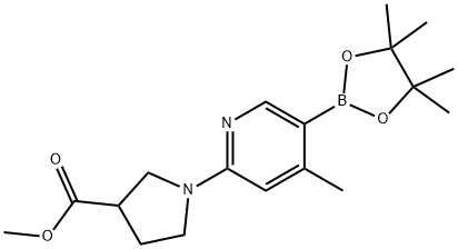 Methyl 1-(4-Methyl-5-(4,4,5,5-tetraMethyl-1,3,2-dioxaborolan-2-yl)pyridin-2-yl)pyrrolidine-3-carboxylate Struktur