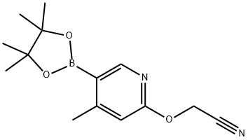 2-((4-Methyl-5-(4,4,5,5-tetraMethyl-1,3,2-dioxaborolan-2-yl)pyridin-2-yl)oxy)acetonitrile Struktur