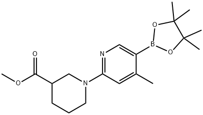 Methyl 1-(4-Methyl-5-(4,4,5,5-tetraMethyl-1,3,2-dioxaborolan-2-yl)pyridin-2-yl)piperidine-3-carboxylate Struktur