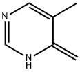 Pyrimidine, 1,4-dihydro-5-methyl-4-methylene- (9CI) Struktur